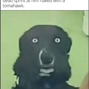 Meet your Posher, Dylan